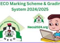 NECO Marking Scheme & Grading System 2024