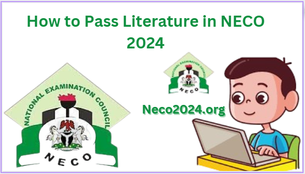 How to Pass Literature in NECO 2024