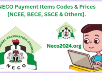 NECO Payment Items Codes & Prices