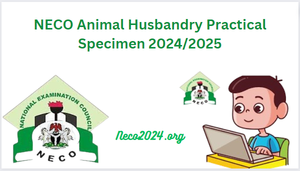 NECO Animal Husbandry Practical Specimen 2024
