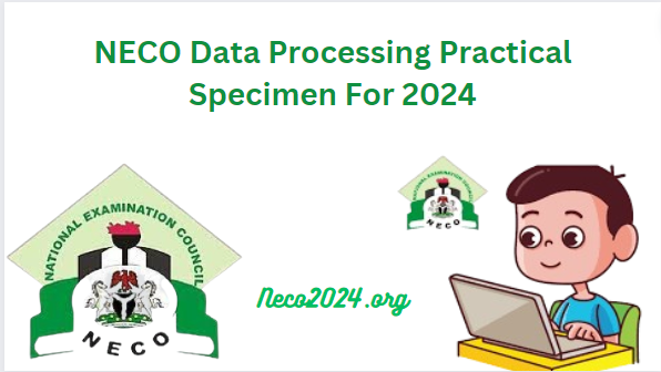NECO Data Processing Practical Specimen For 2024